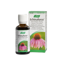  Echinaforce 50ml