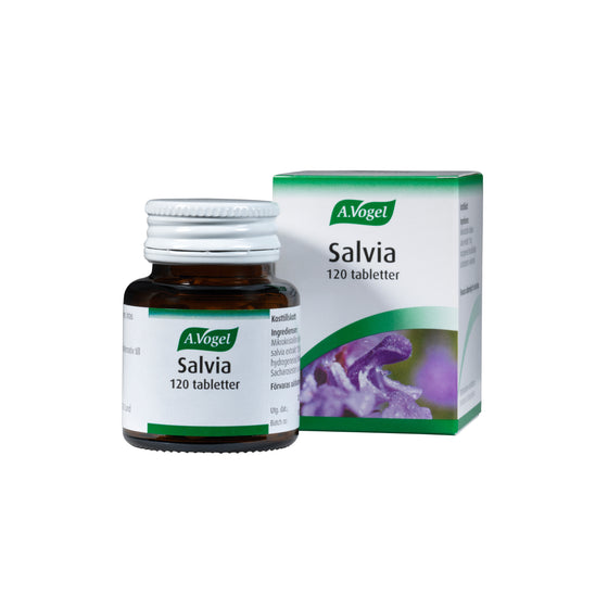 Salvia 120t