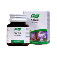  Salvia 120t