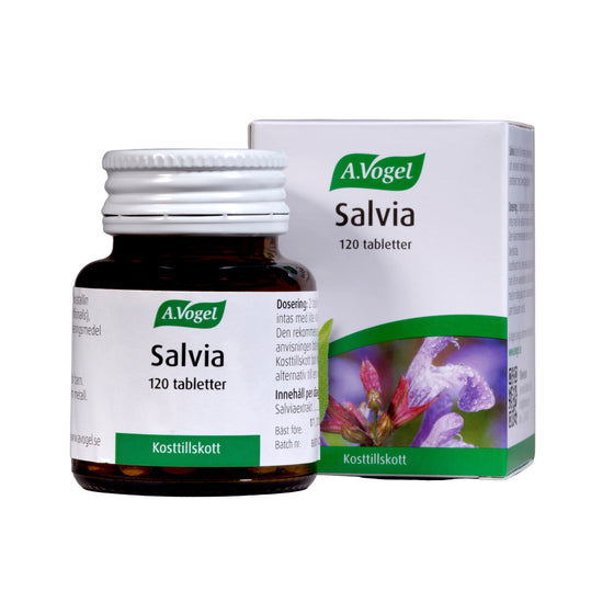 Salvia 120t