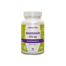  Magnesium 375mg 90k